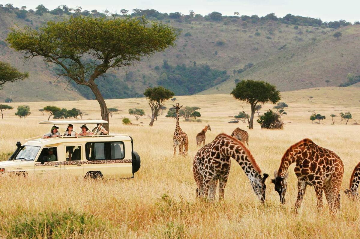 Best Of Kenya And Tanzania Safari