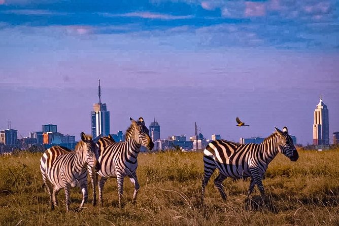 Nairobi National Park, Baby Elephant Orphanage and Giraffe Centre